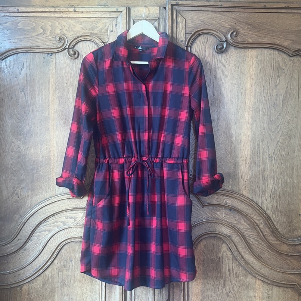 C. Luce Plaid Dress - Picture 3 of 14